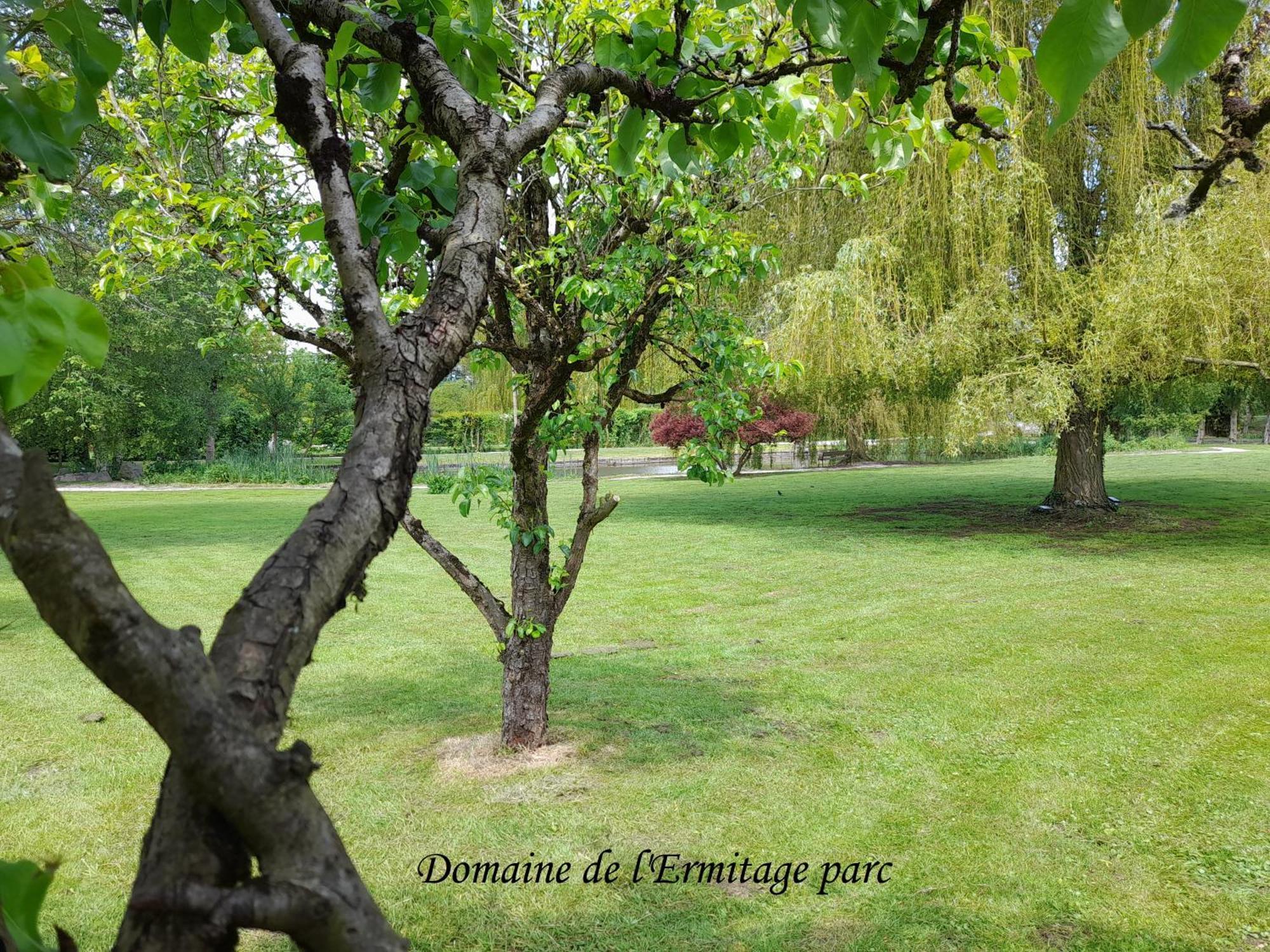 Domaine De L'Ermitage Villa Рю Екстериор снимка
